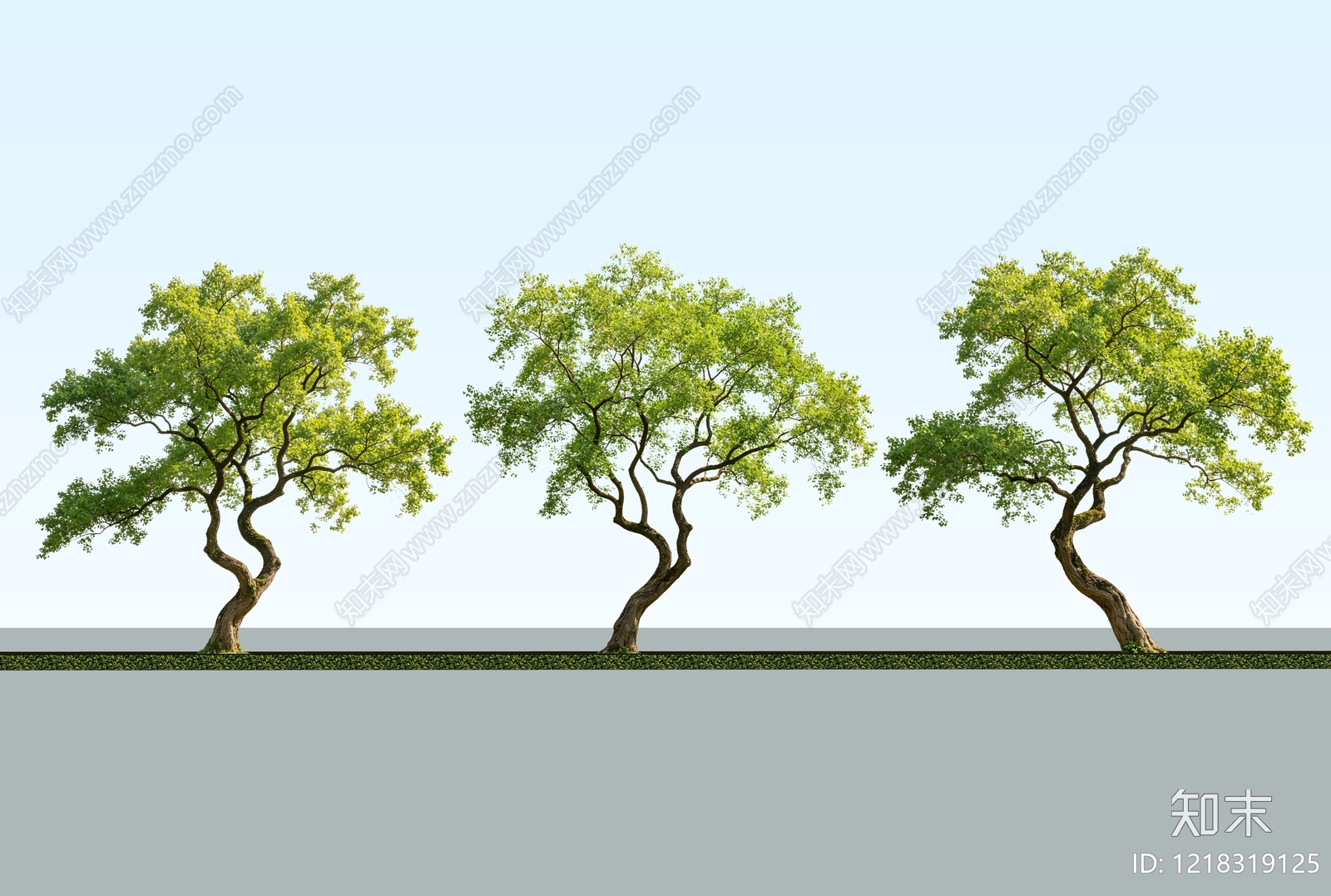 极简主义乔木SU模型下载【ID:1218319125】