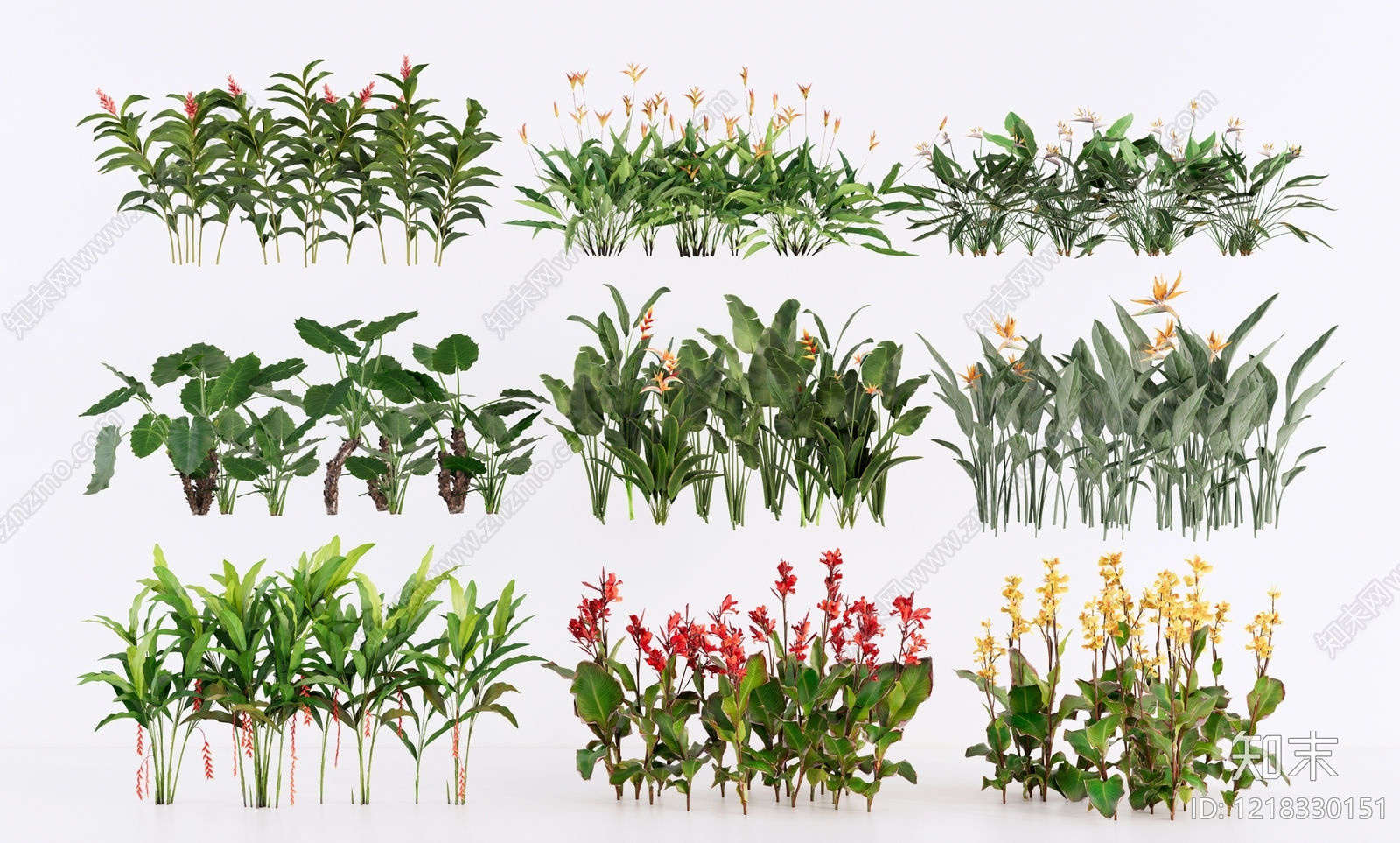 热带植物景观草本植物SU模型草图