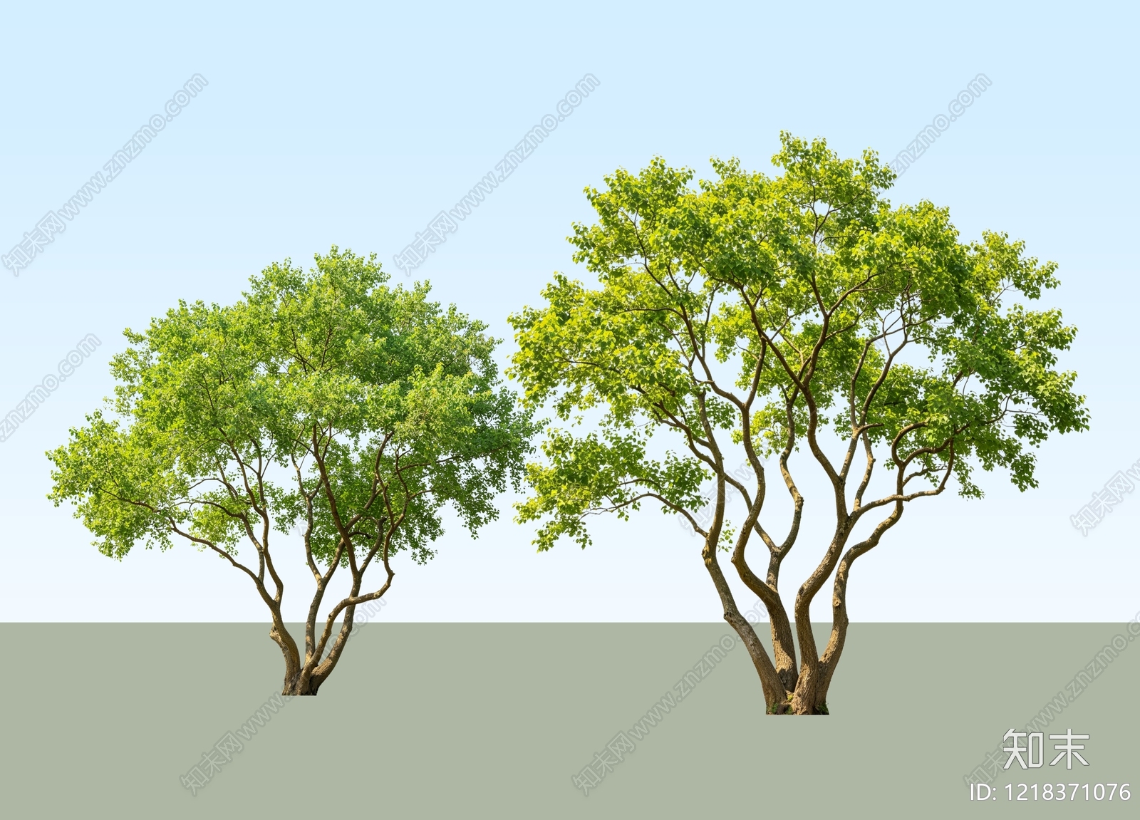 新中式景观乔木SU模型下载【ID:1218371076】