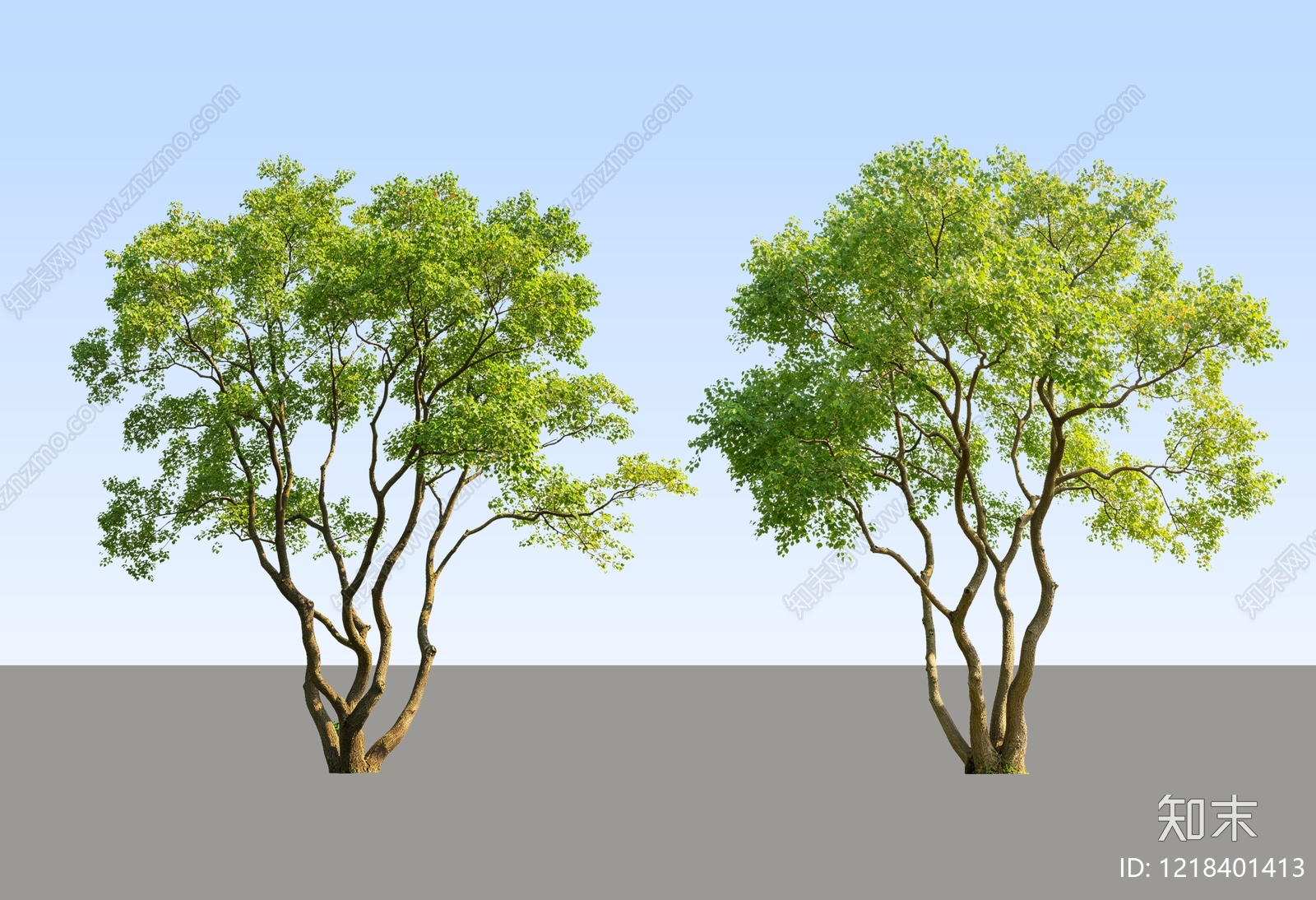 新中式景观乔木SU模型下载【ID:1218401413】