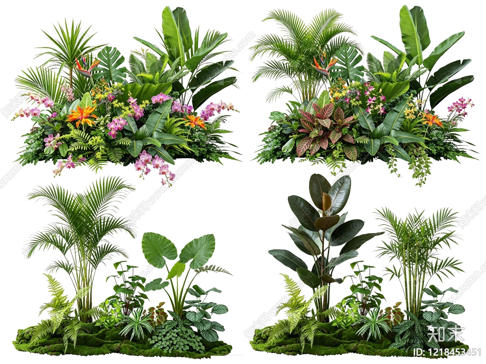热带植物景观风格花境SU模型草图