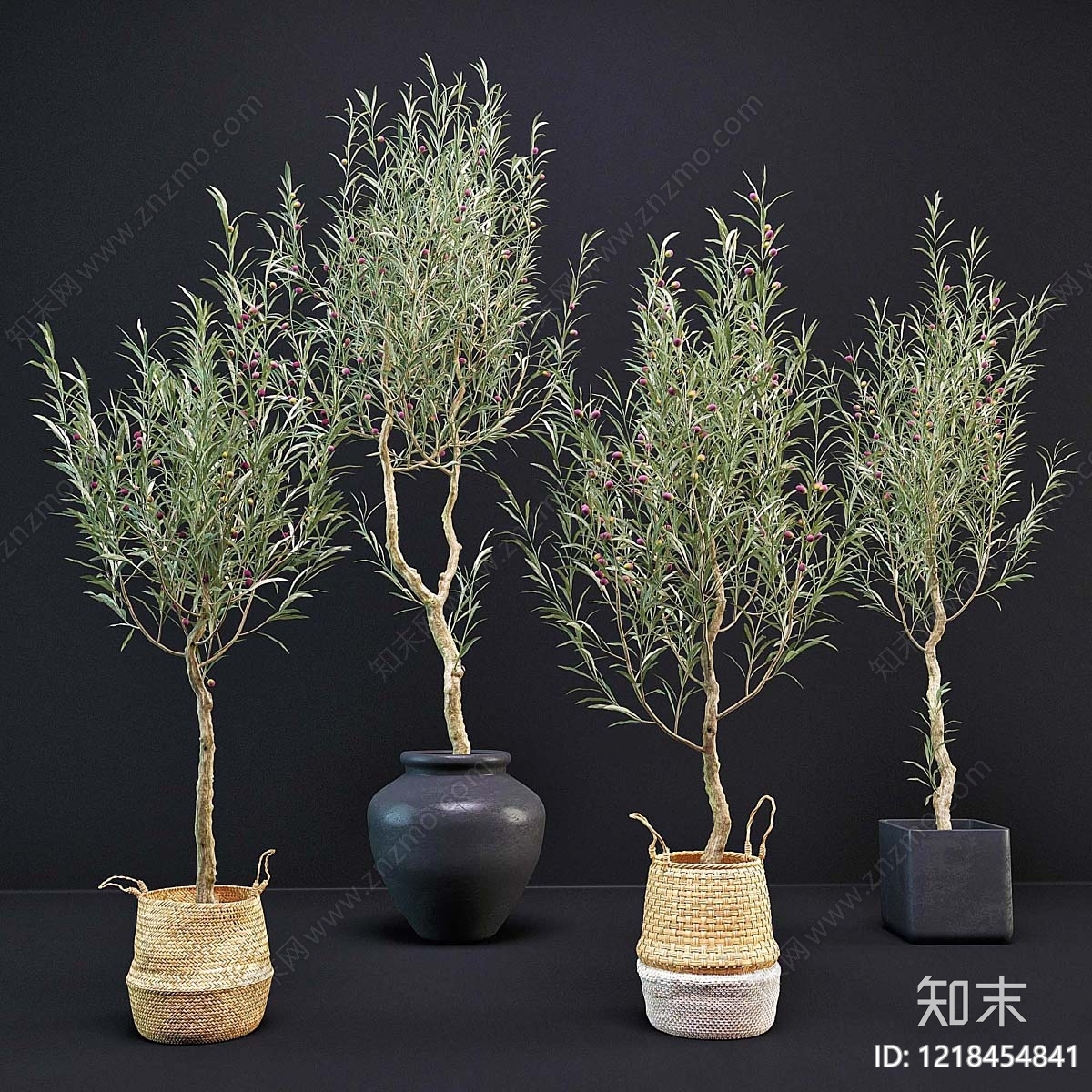 现代简约盆栽3D模型下载【ID:1218454841】