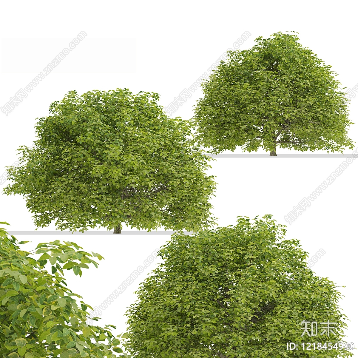 现代主义景观景观树3D模型下载【ID:1218454990】