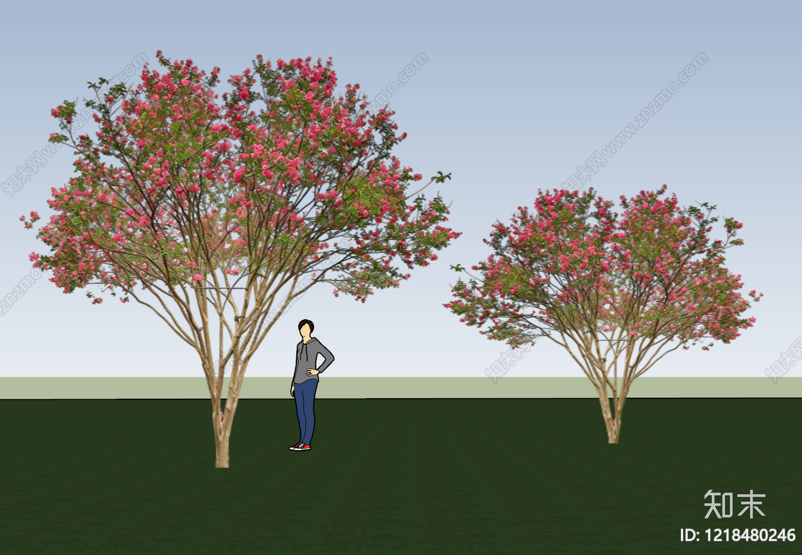 现代景观乔木SU模型下载【ID:1218480246】