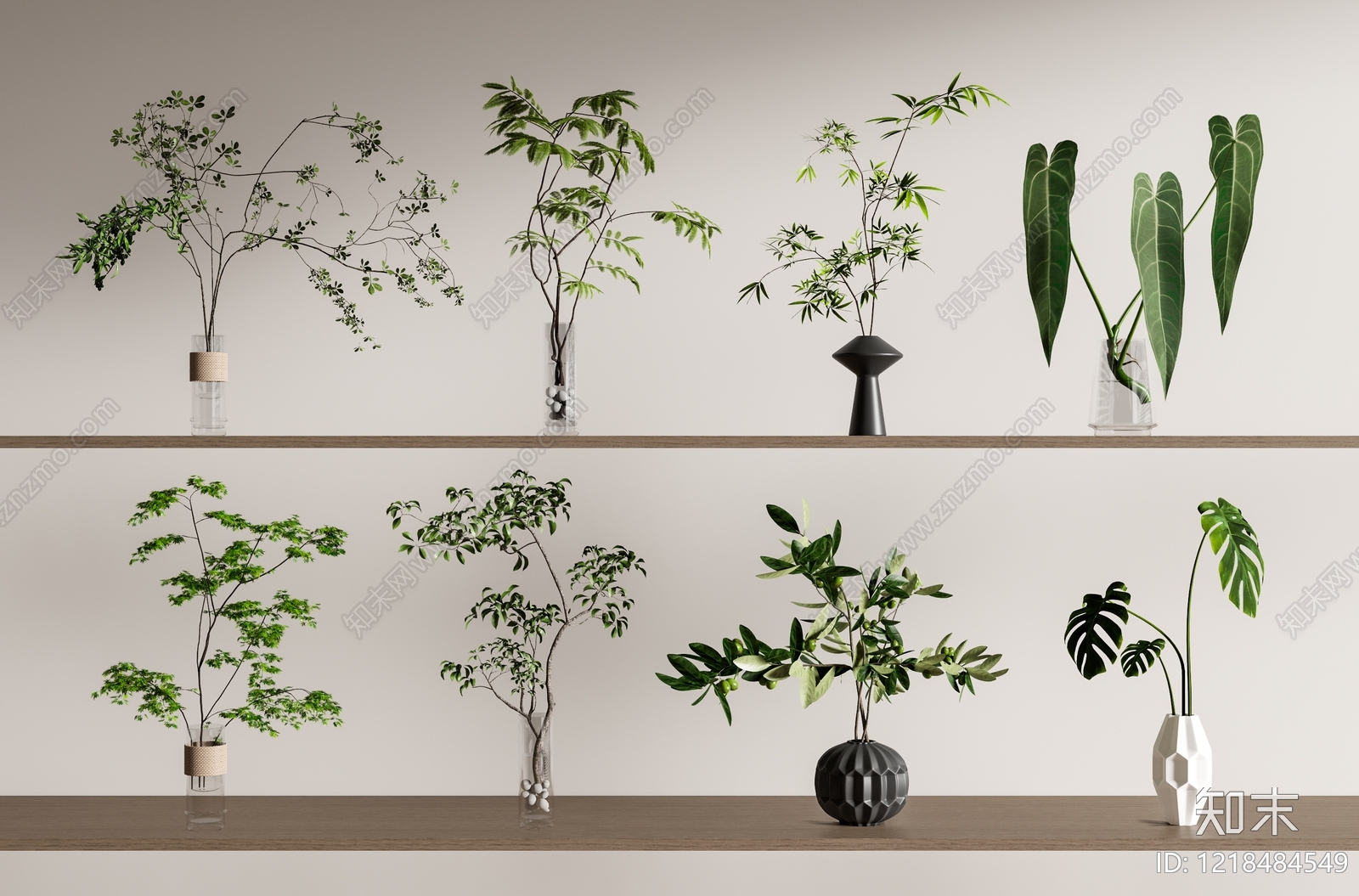 现代简约绿植摆件3D模型渲染效果图