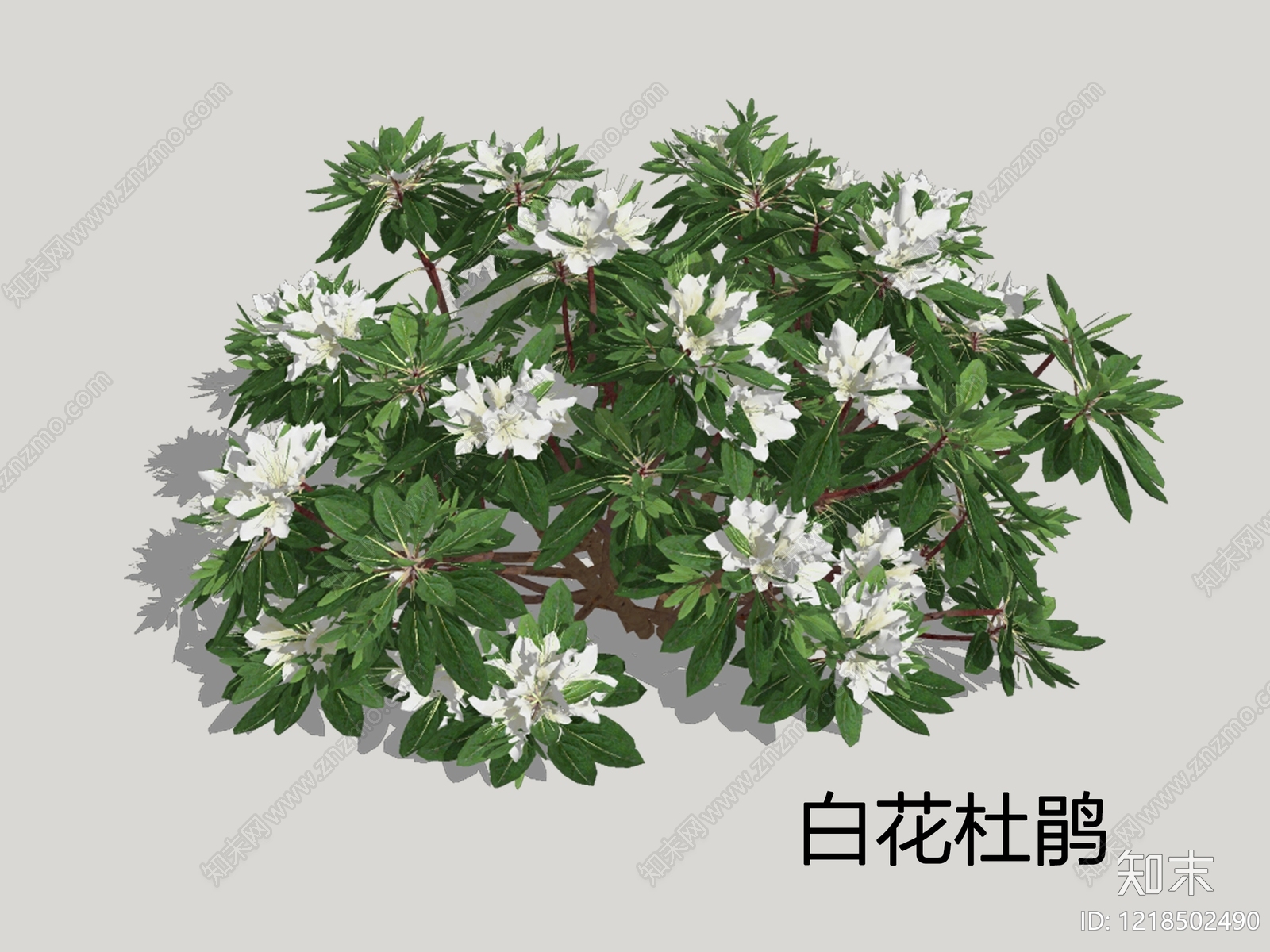 新中式景观灌木SU模型下载【ID:1218502490】