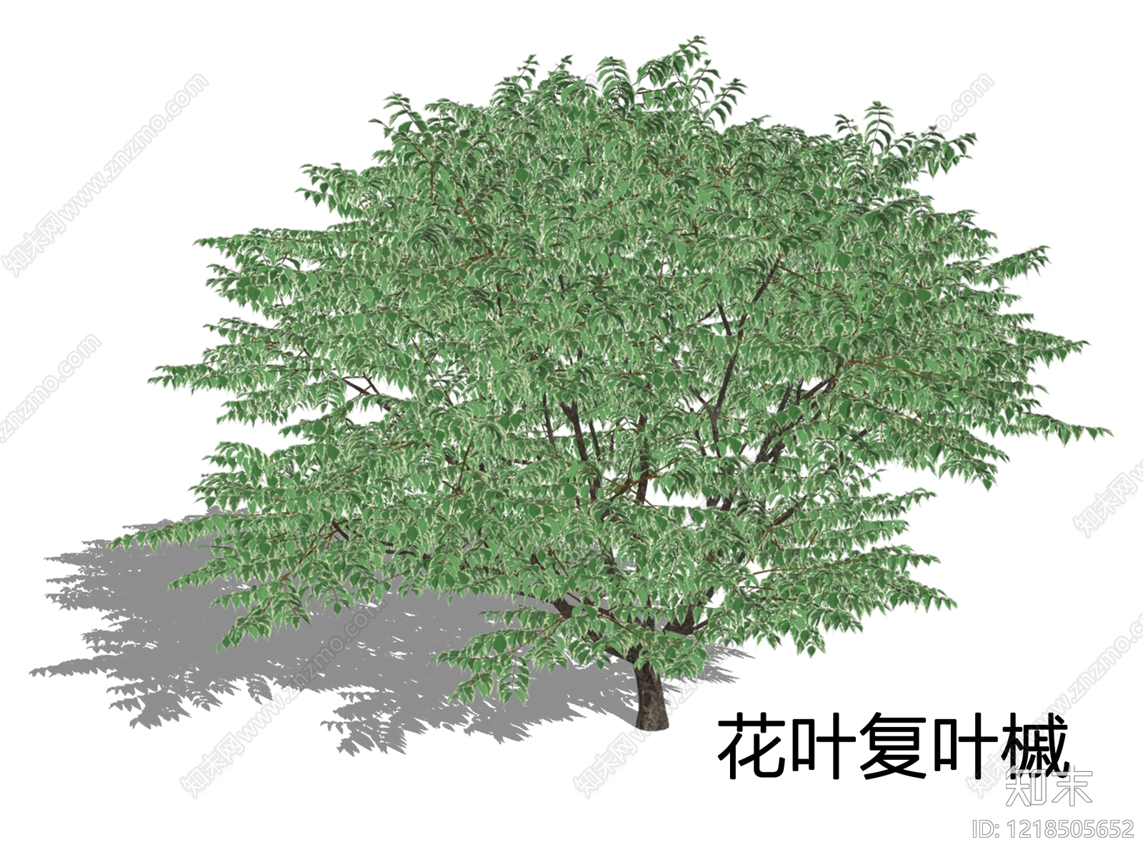 新中式景观乔木SU模型下载【ID:1218505652】