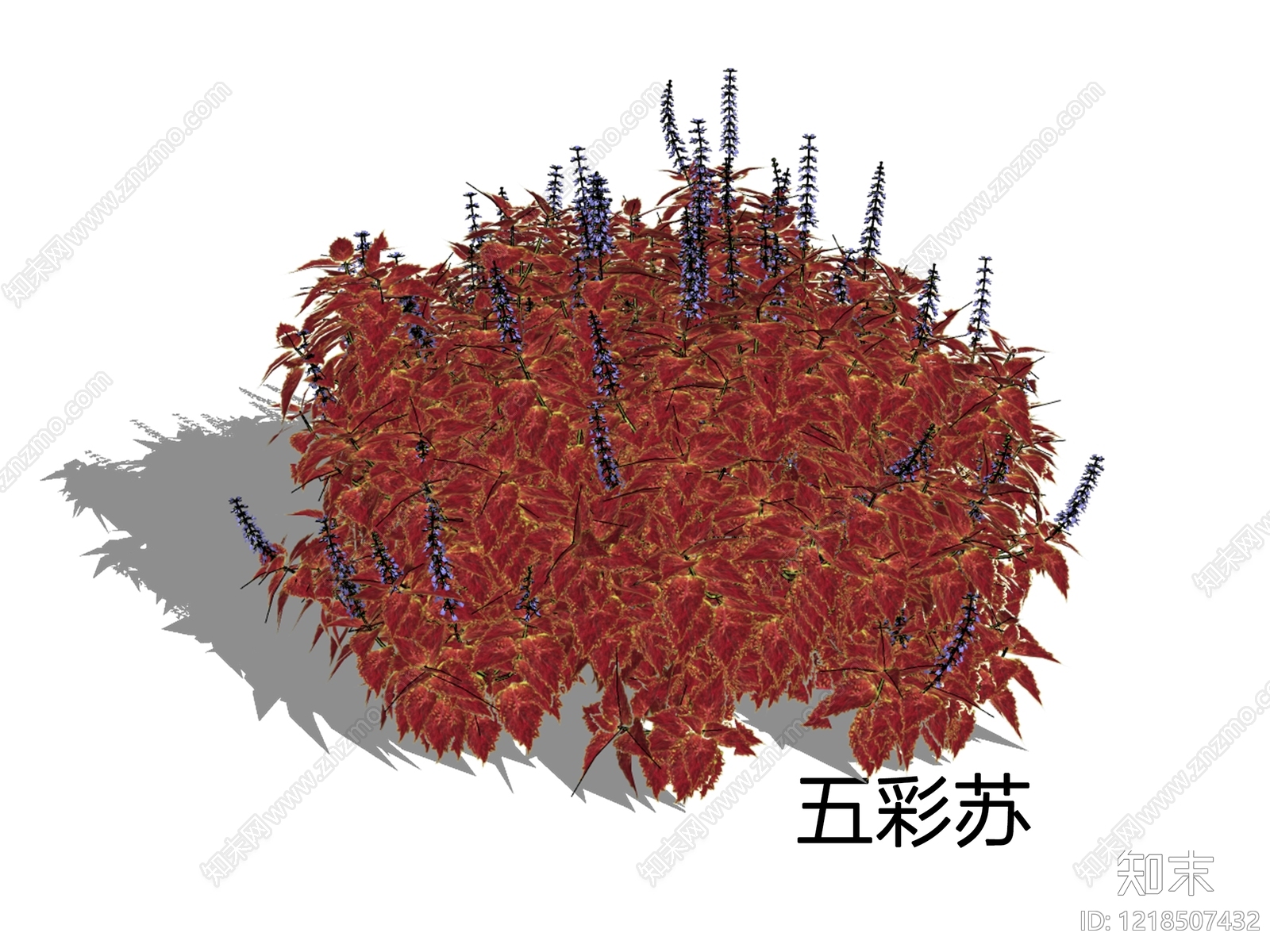 新中式景观草本植物SU模型草图