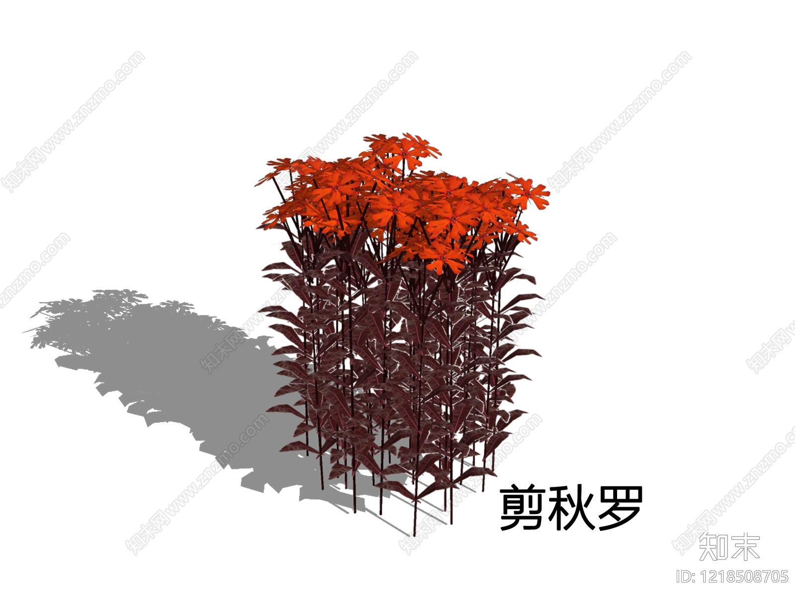 新中式景观草本植物SU模型草图