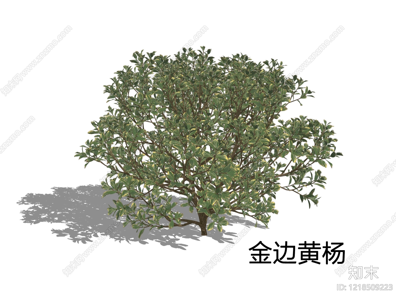 新中式景观灌木SU模型下载【ID:1218509223】