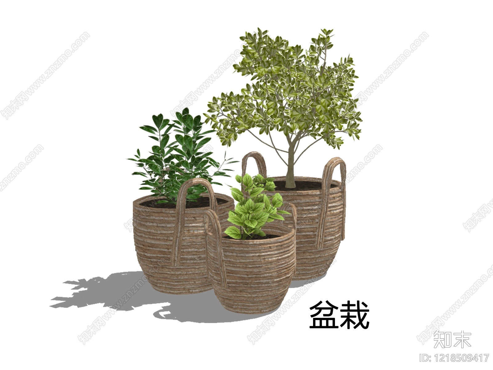 侘寂盆栽SU模型下载【ID:1218509417】