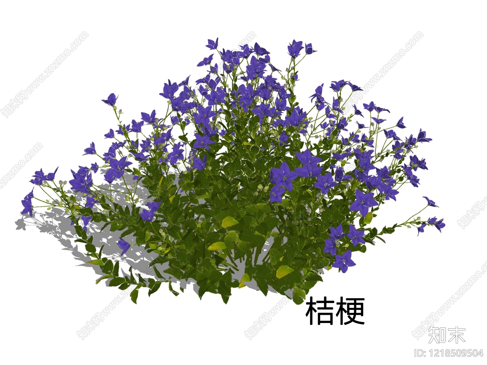 自然主义景观草本植物SU模型草图