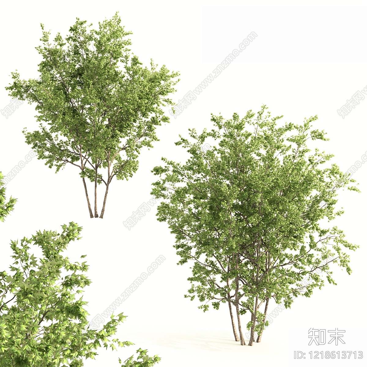 自然主义景观树3D模型下载【ID:1218613713】