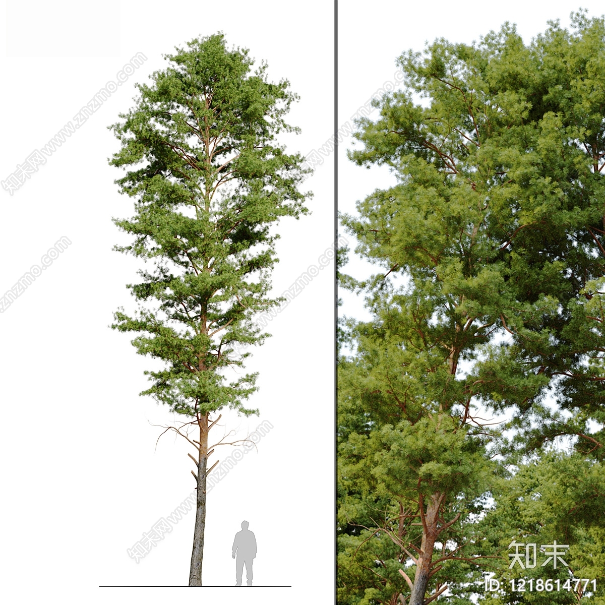 自然主义乔木3D模型下载【ID:1218614771】