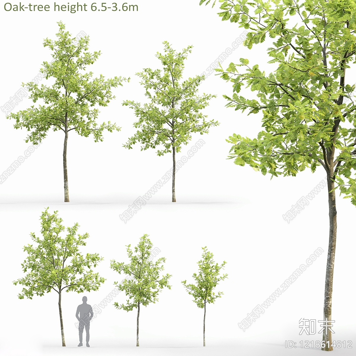 现代主义景观乔木3D模型下载【ID:1218614812】