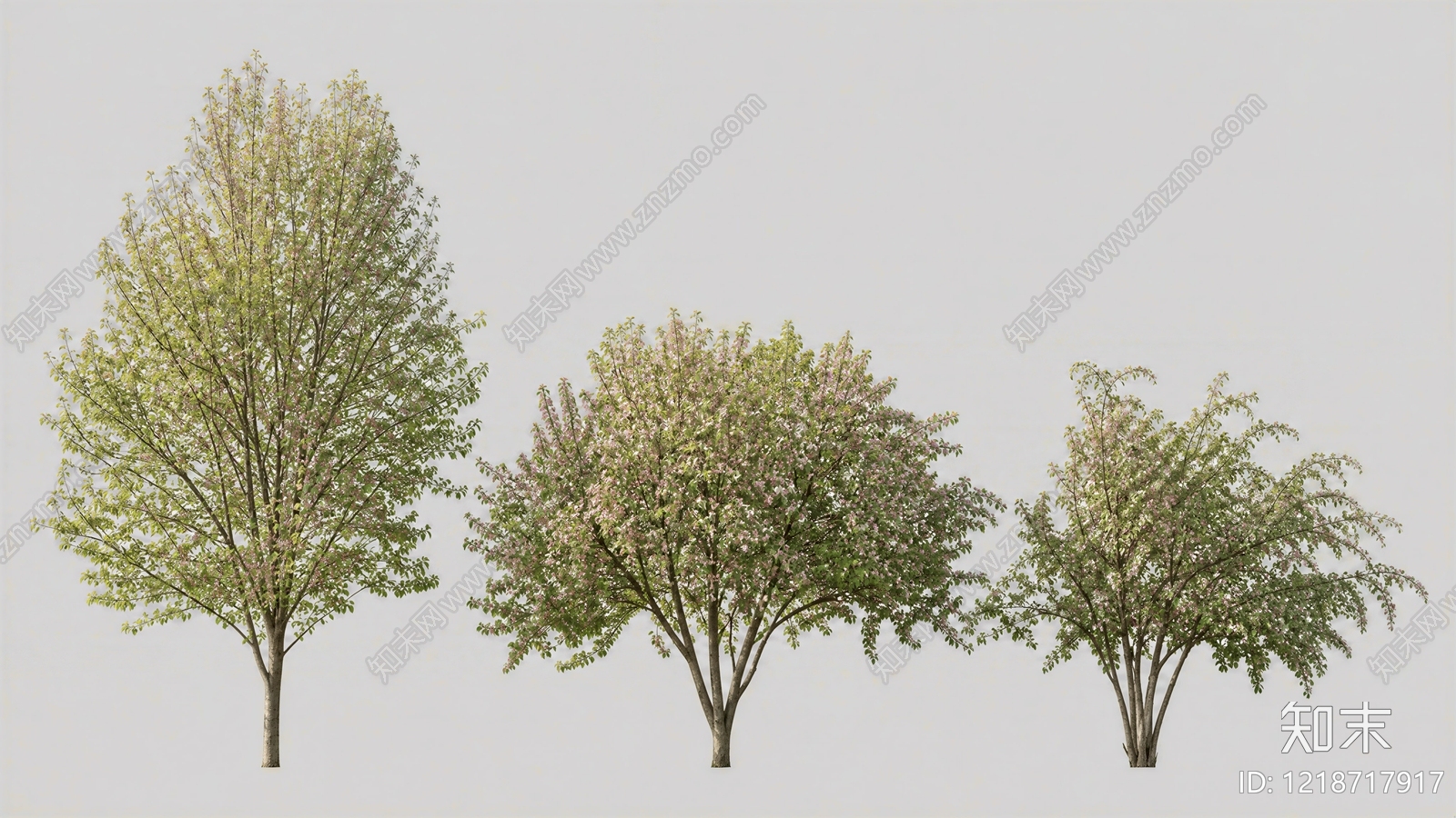2D现代主义乔木SU模型下载【ID:1218717917】
