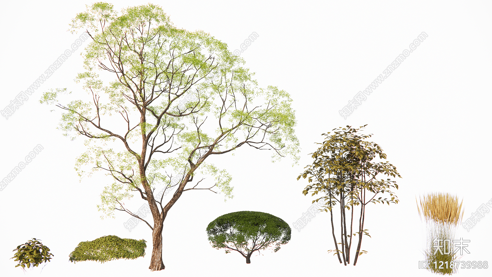 新中式景观乔木SU模型草图