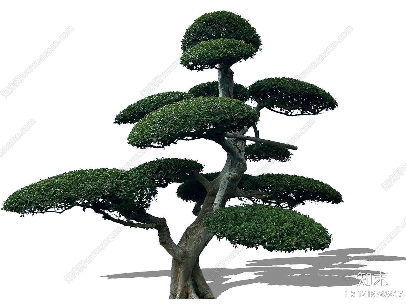 新中式景观乔木SU模型下载【ID:1218746417】