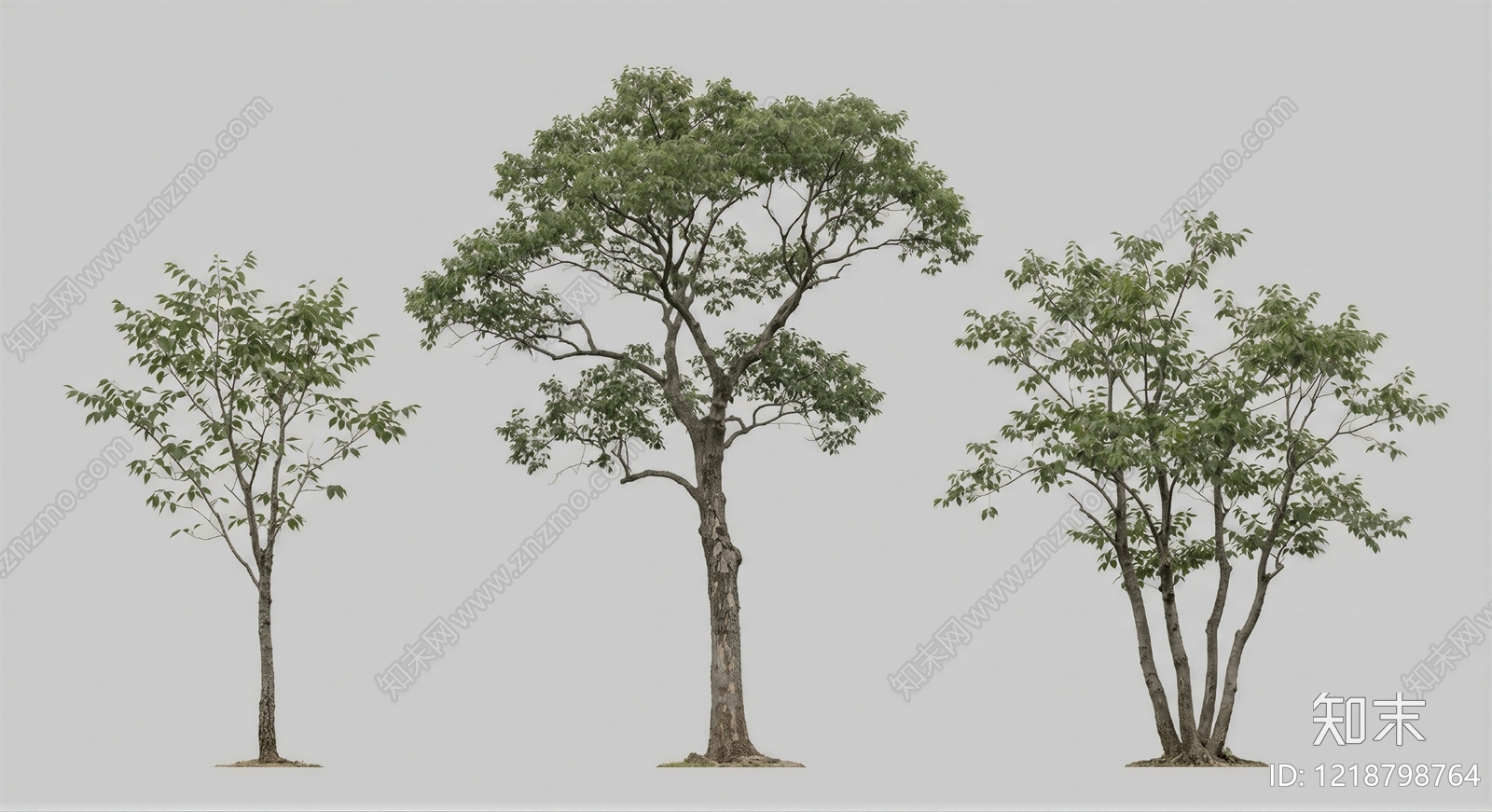 极简2D乔木SU模型下载【ID:1218798764】