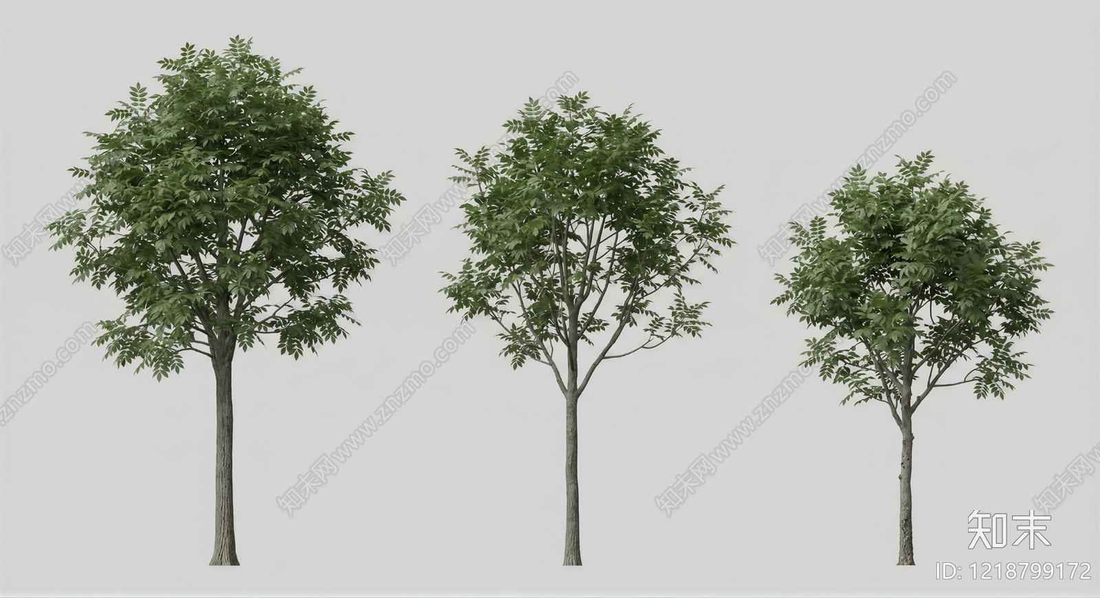 极简主义乔木SU模型下载【ID:1218799172】