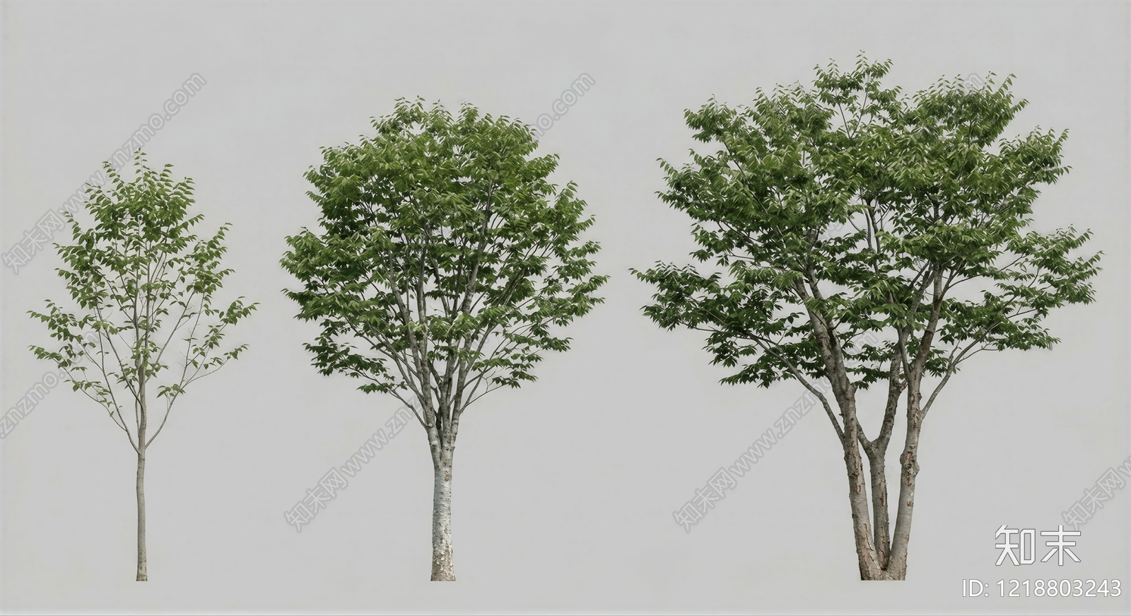 极简主义乔木SU模型下载【ID:1218803243】