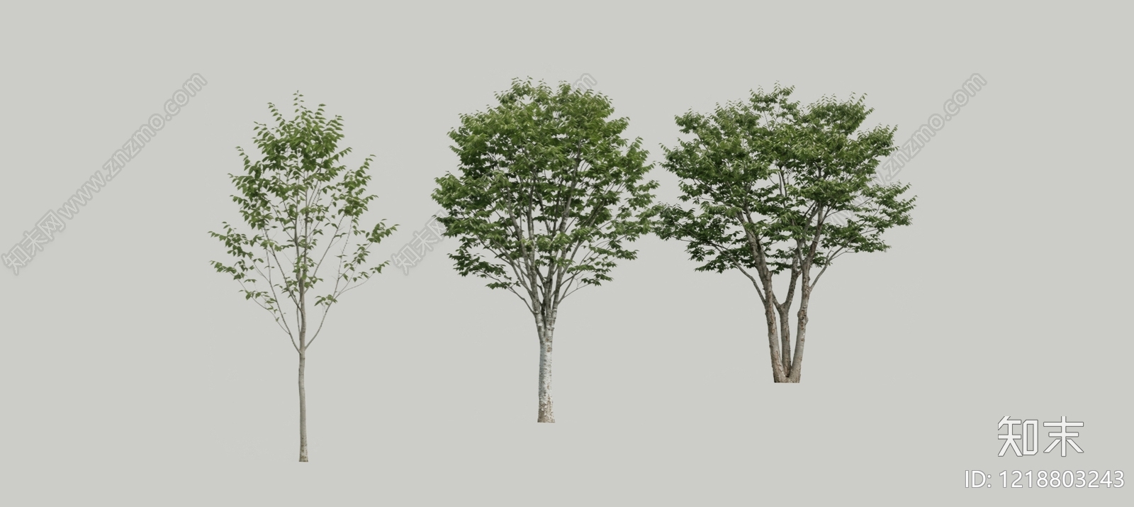极简主义乔木SU模型下载【ID:1218803243】