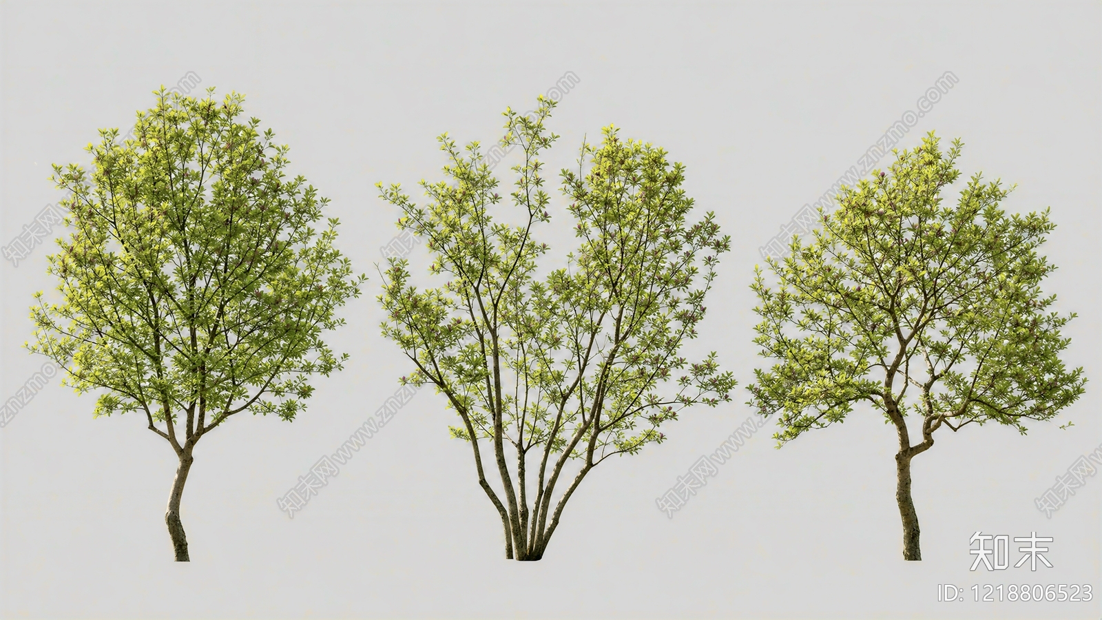 极简主义景观乔木SU模型下载【ID:1218806523】