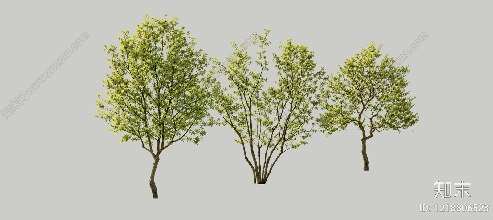 极简主义景观乔木SU模型下载【ID:1218806523】