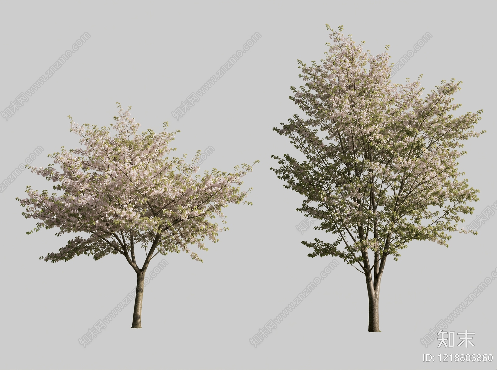 日式乔木SU模型下载【ID:1218806860】