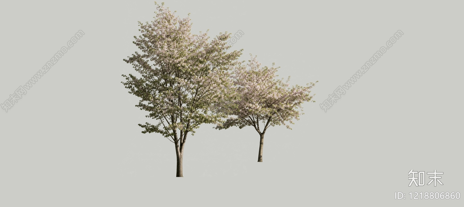 日式乔木SU模型下载【ID:1218806860】
