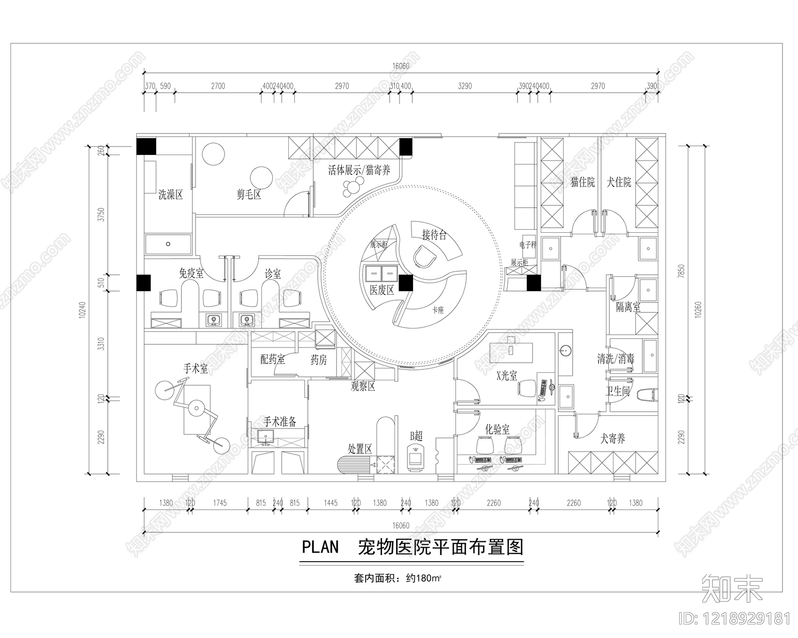 宠物医院CAD图纸