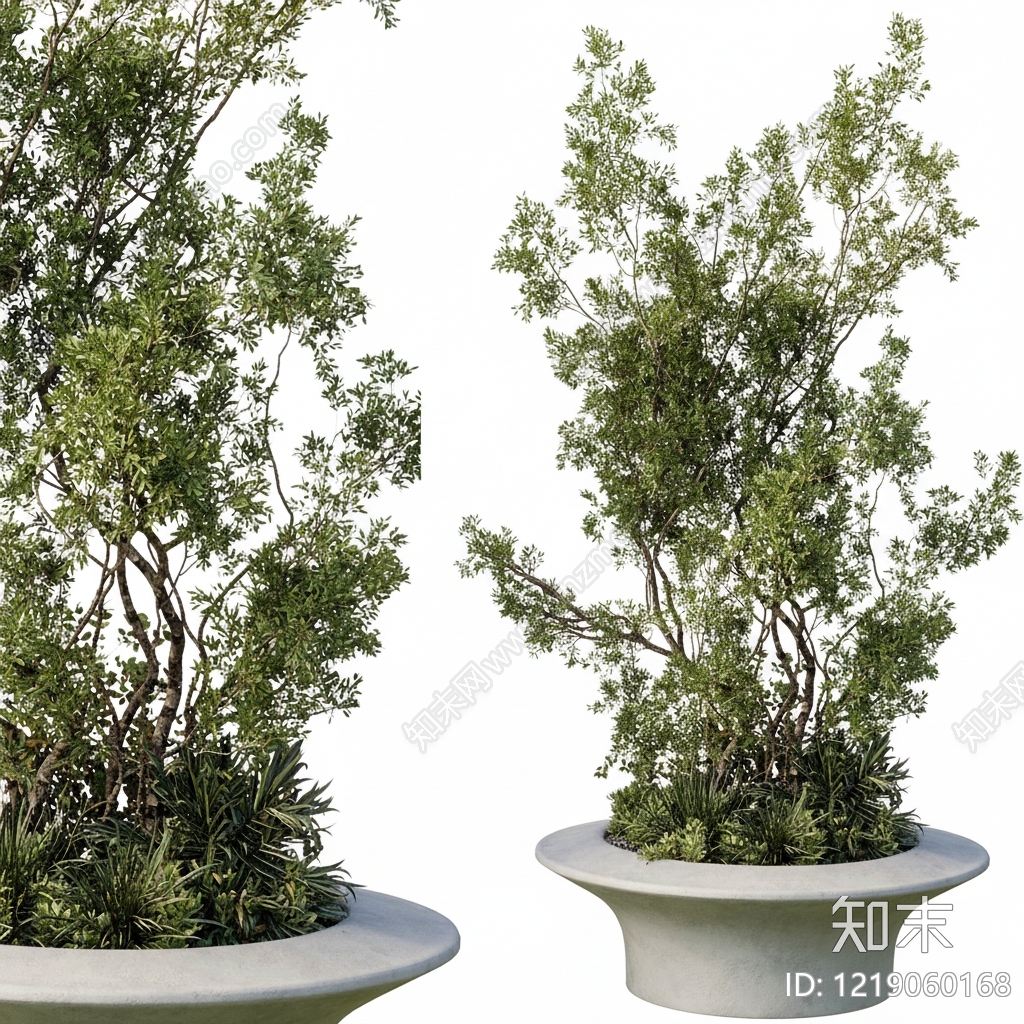 极简主义灌木SU模型下载【ID:1219060168】