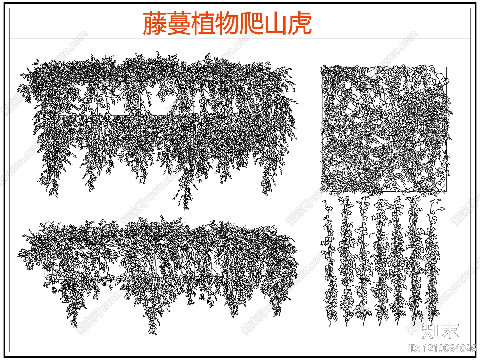 攀援植物CAD图纸