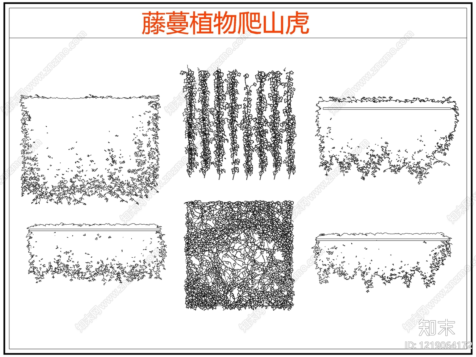 攀援植物CAD图纸