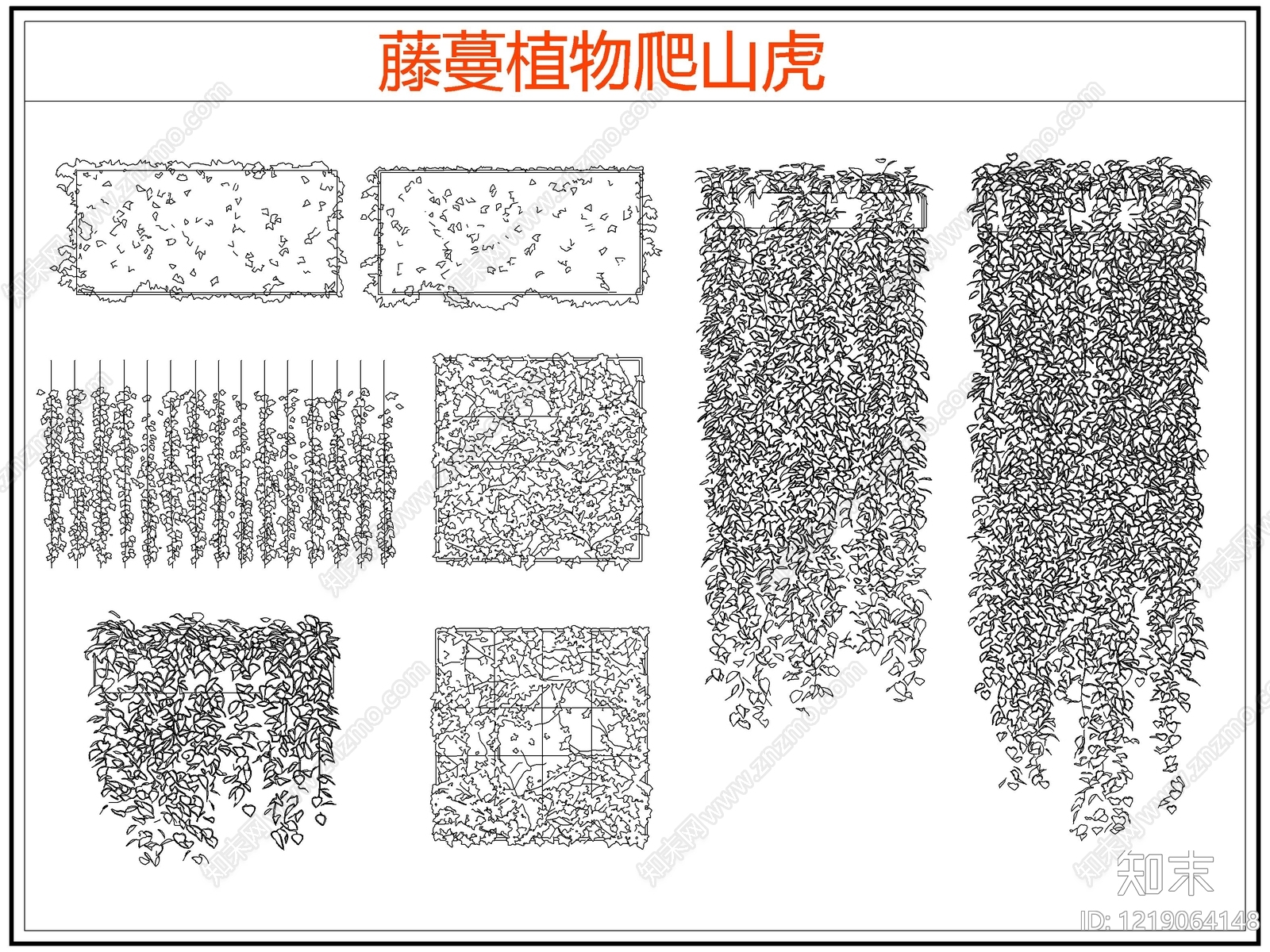 攀援植物CAD图纸