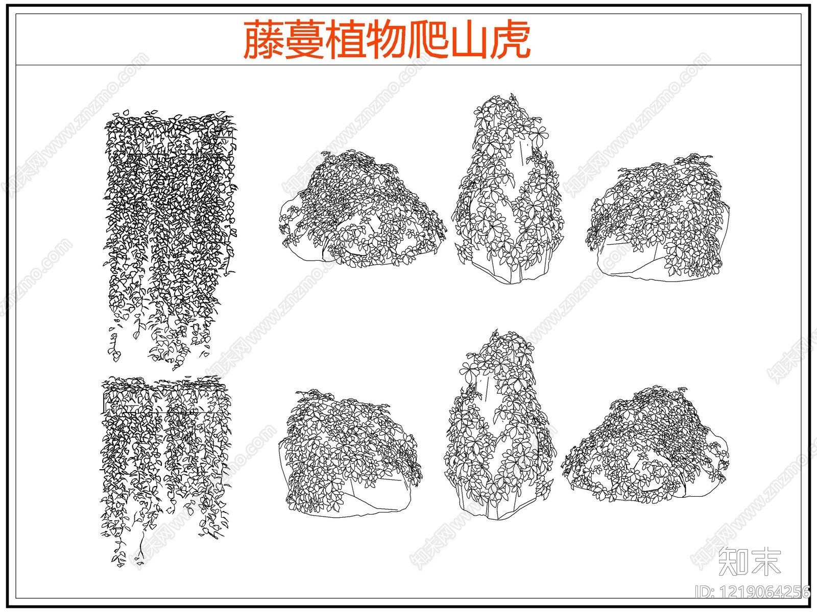 攀援植物CAD图纸