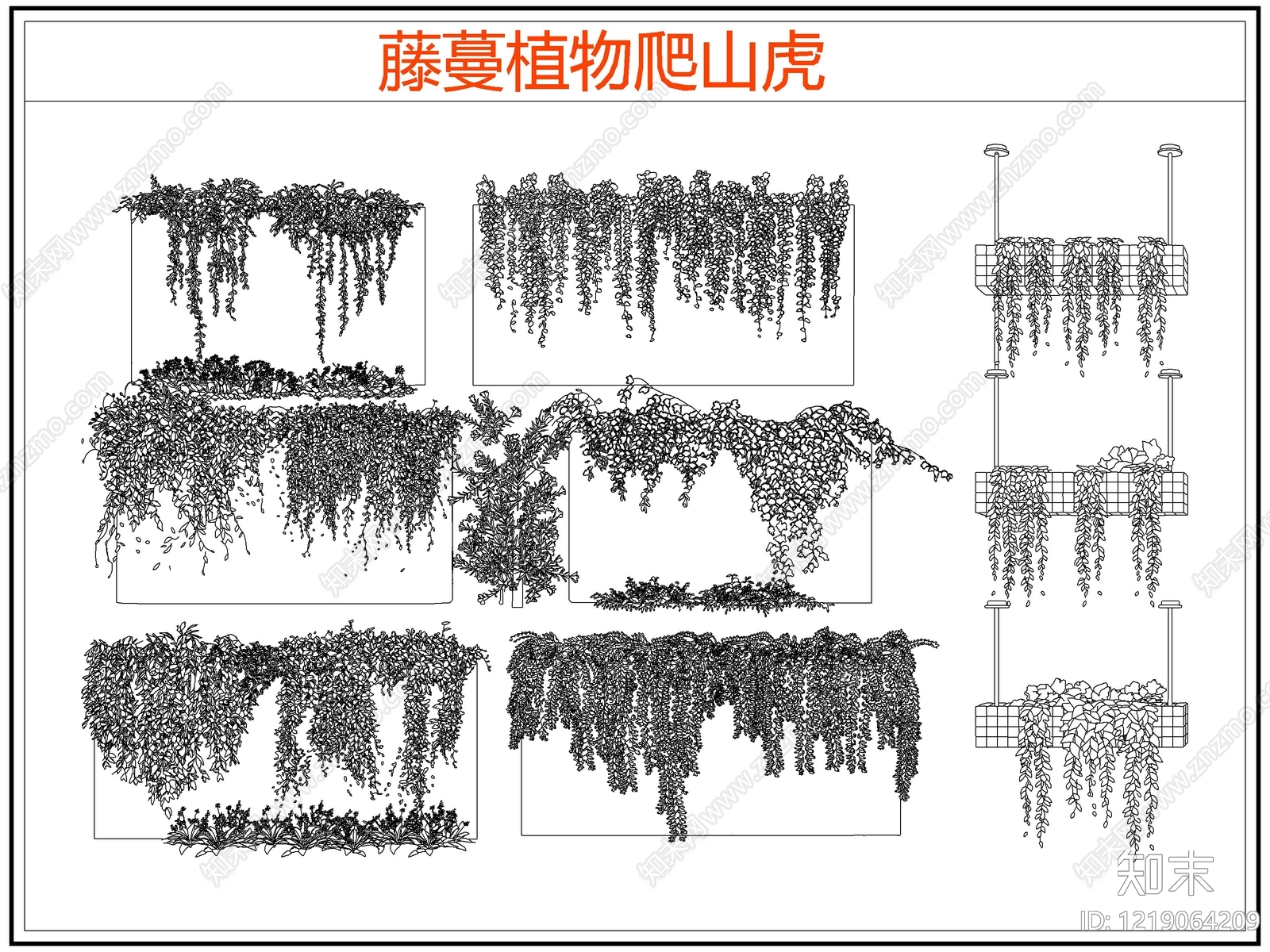 攀援植物CAD图纸
