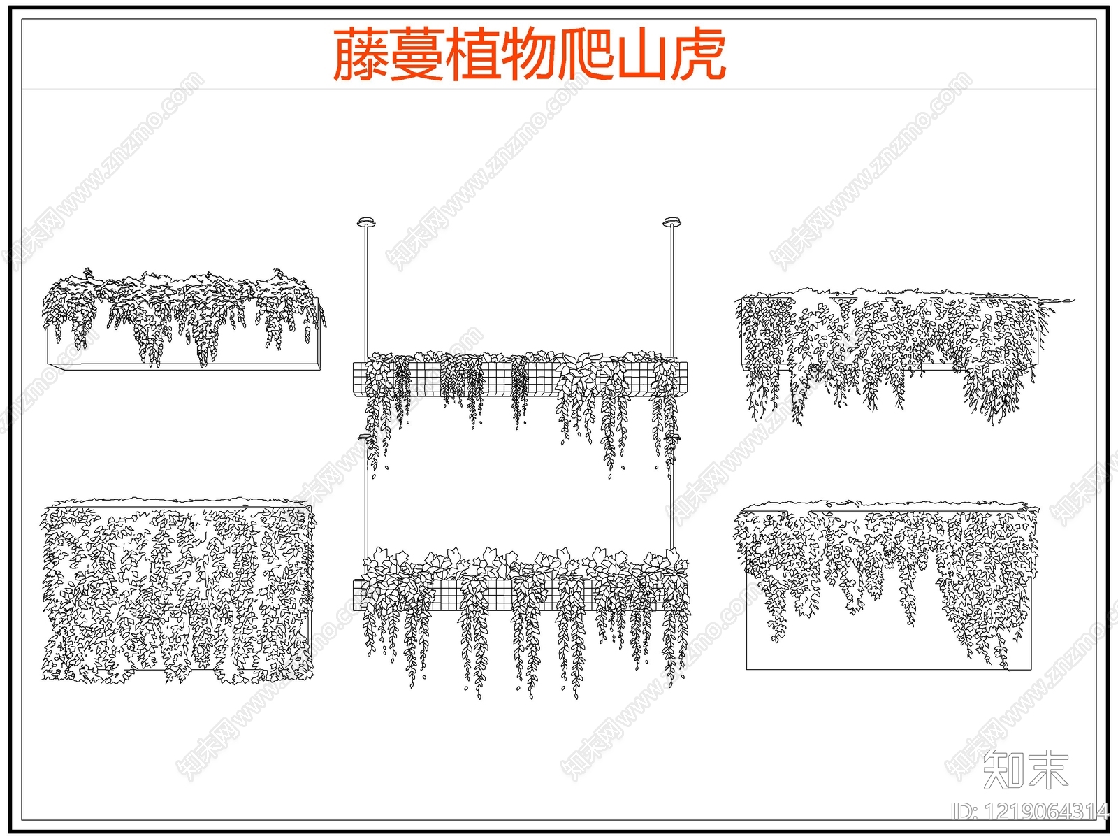 攀援植物CAD图纸