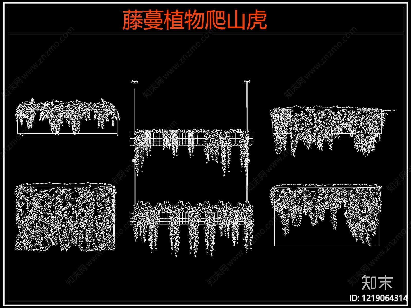 攀援植物cad施工图下载【ID:1219064314】