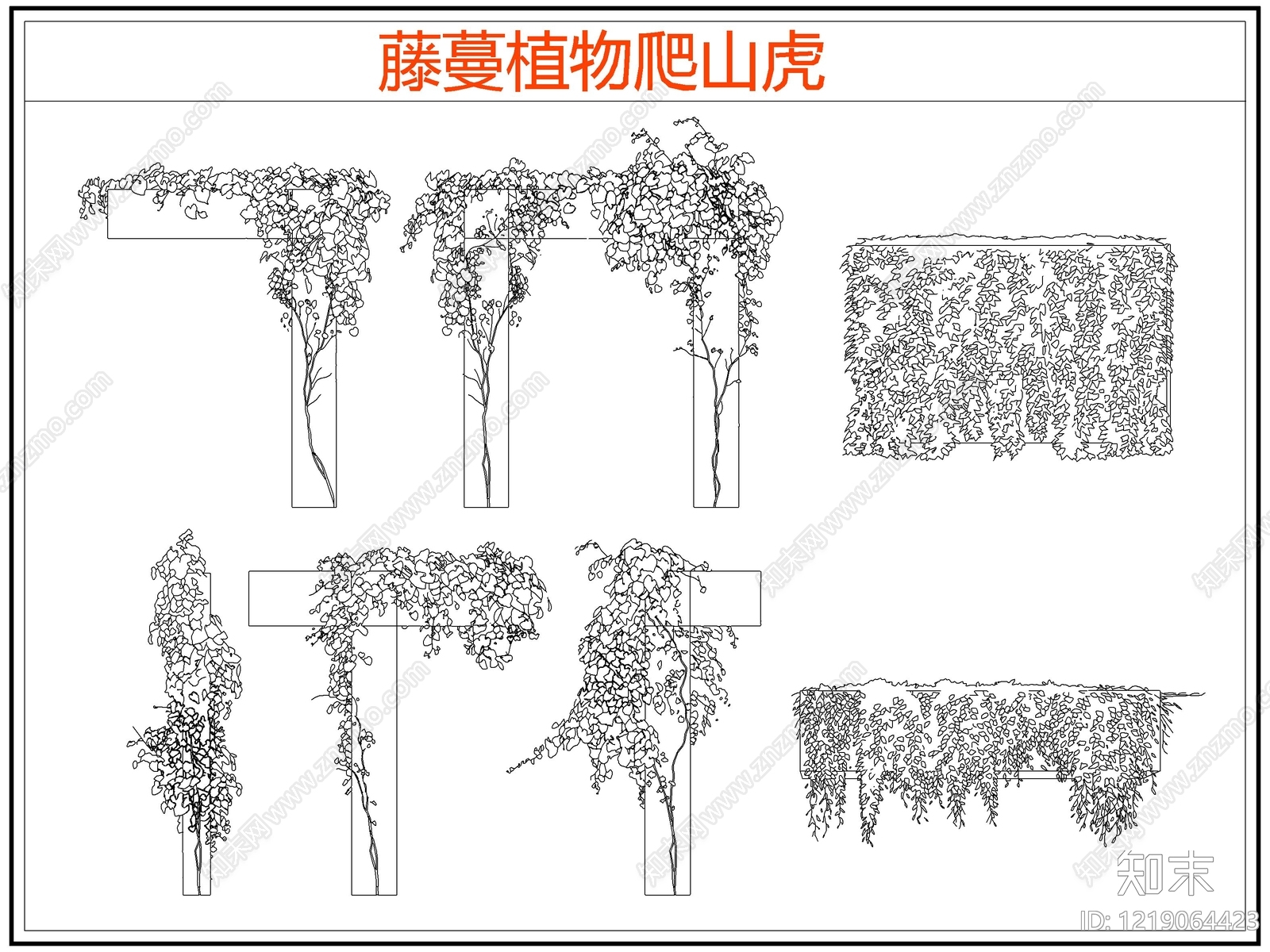 攀援植物CAD图纸