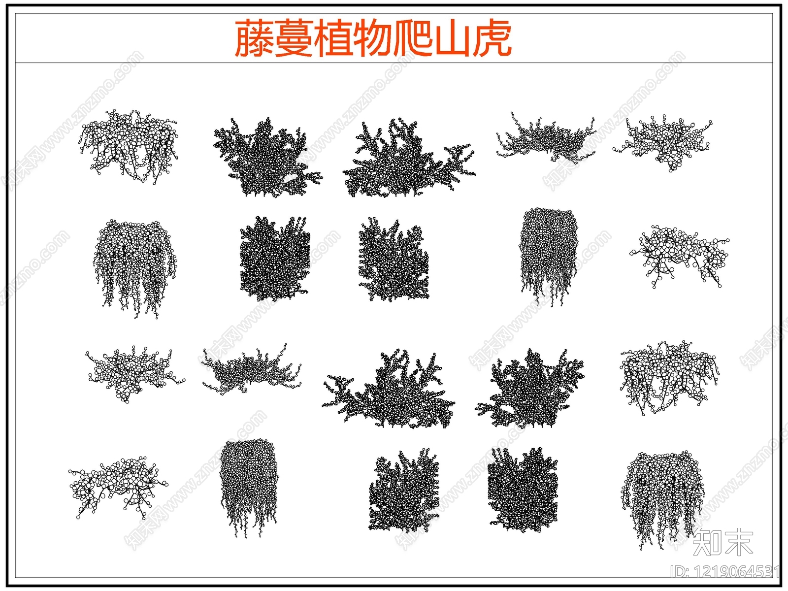 攀援植物CAD图纸