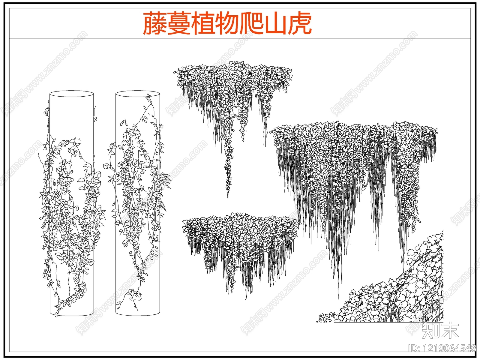 攀援植物CAD图纸