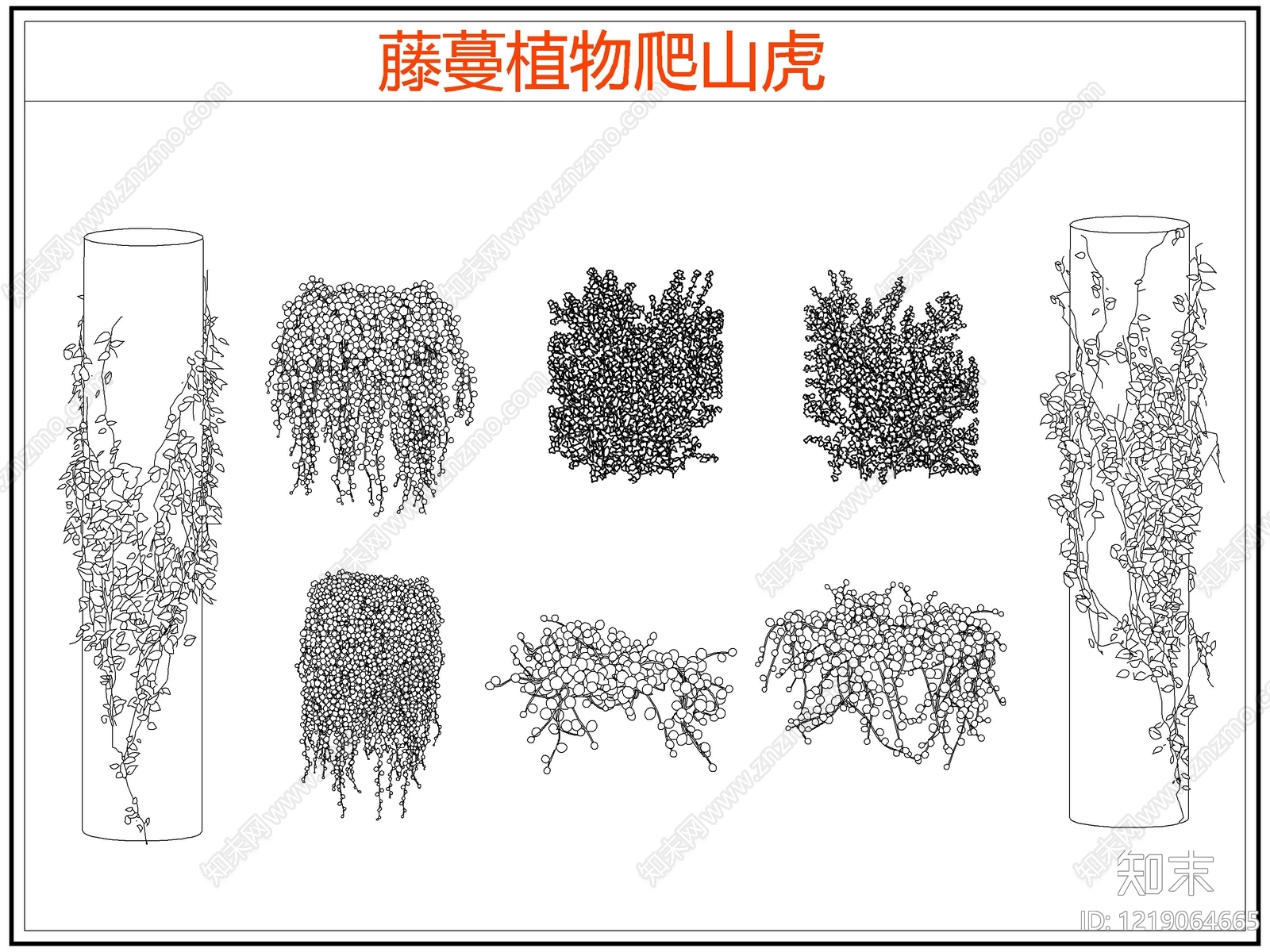 攀援植物CAD图纸