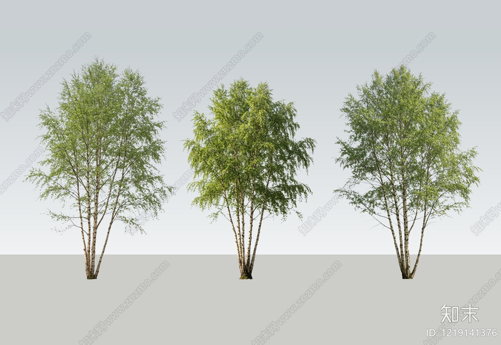 北欧乔木SU模型下载【ID:1219141376】