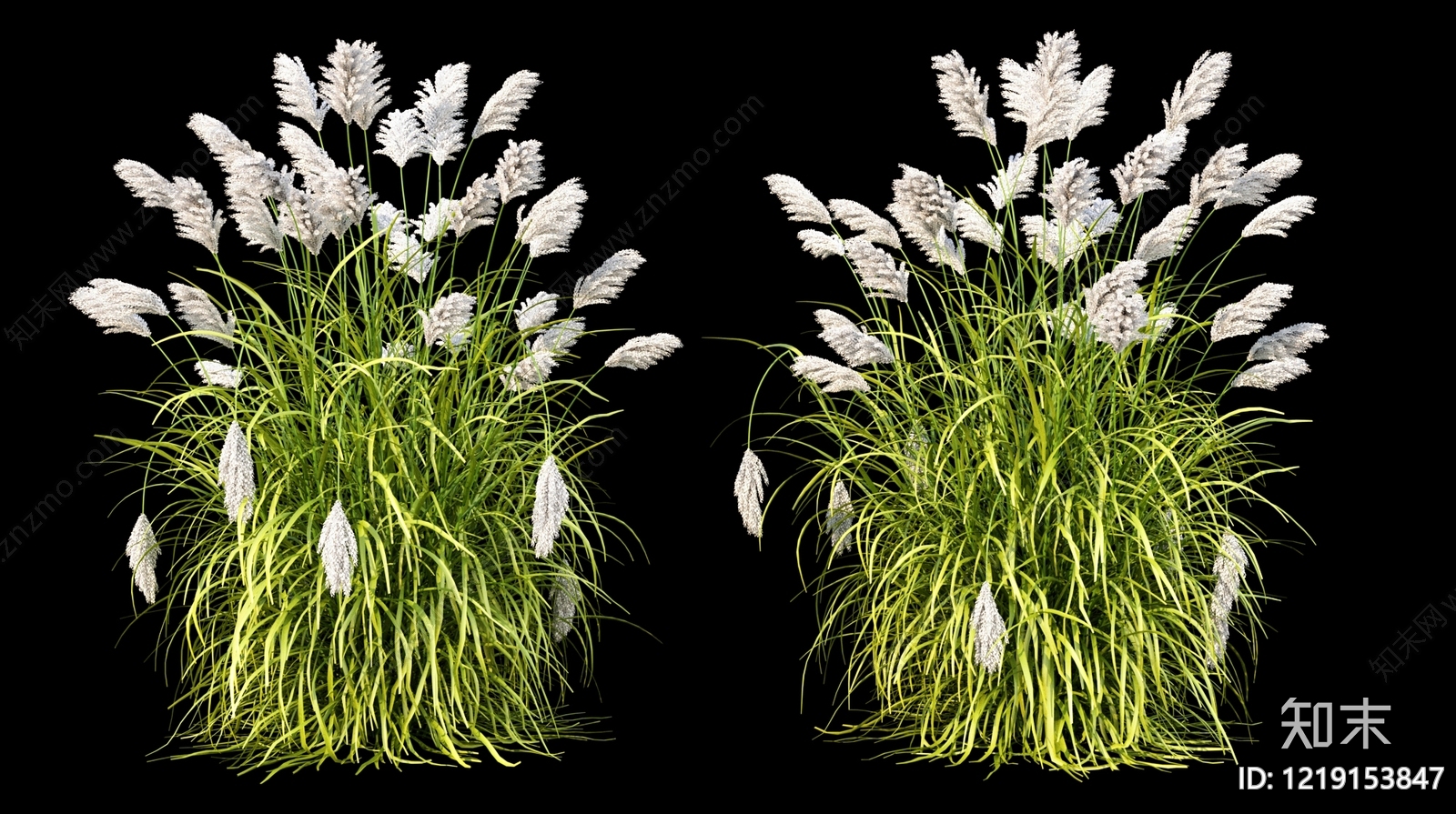 自然野趣景观花草组合3D模型渲染效果图