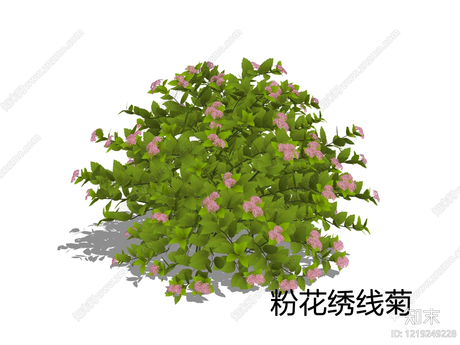 null灌木SU模型下载【ID:1219249228】
