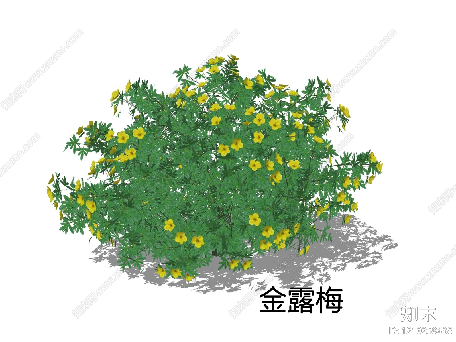 null灌木SU模型下载【ID:1219259438】