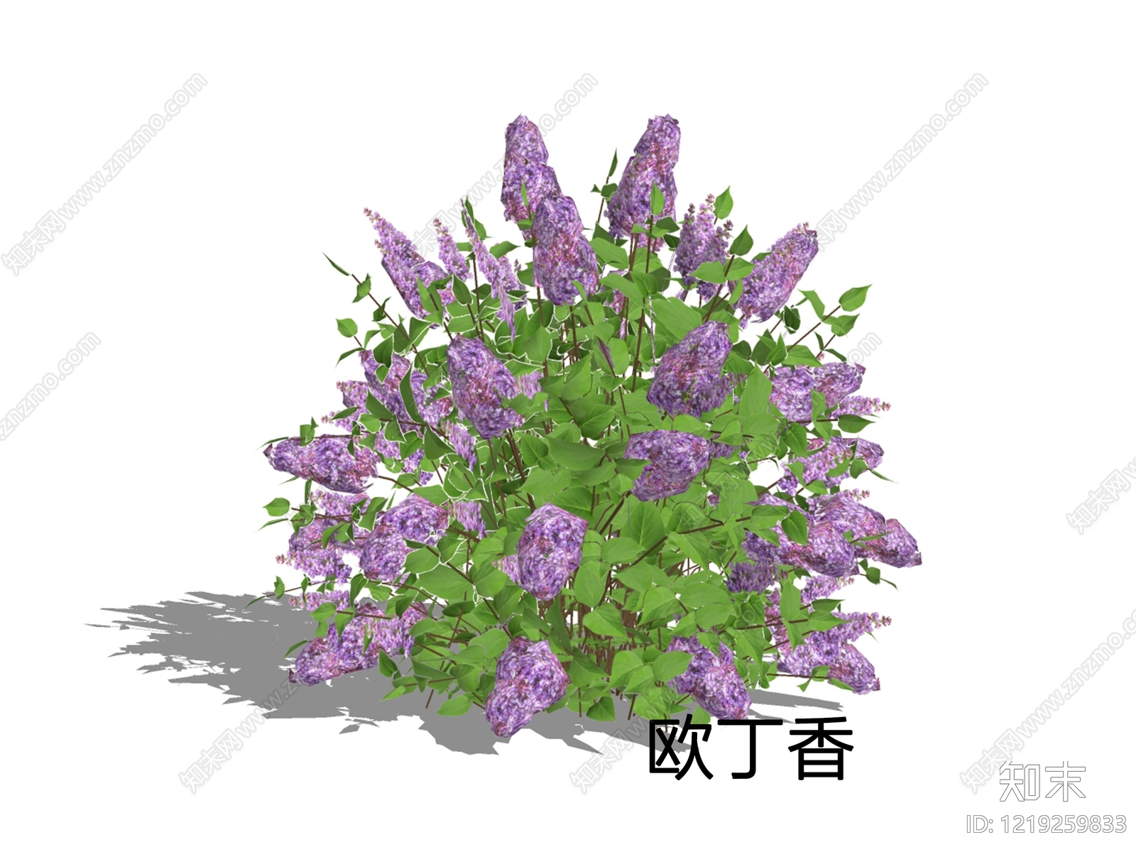 欧式灌木SU模型下载【ID:1219259833】