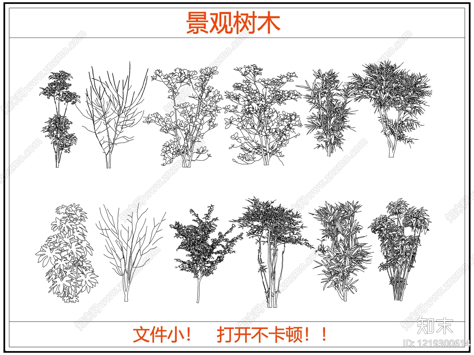 乔木种植CAD图纸