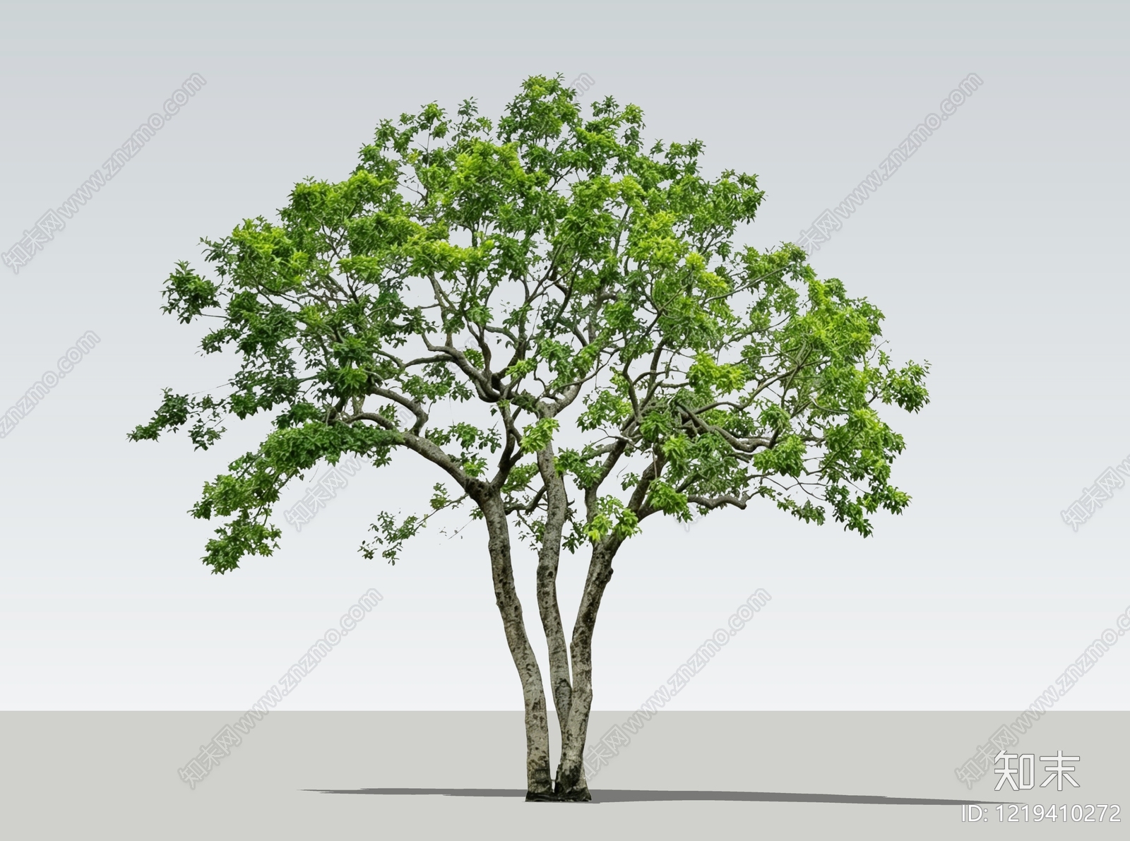 乔木SU模型下载【ID:1219410272】